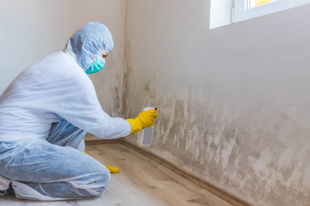 Commercial Mold Remediation assessment for commercial property in Galeton